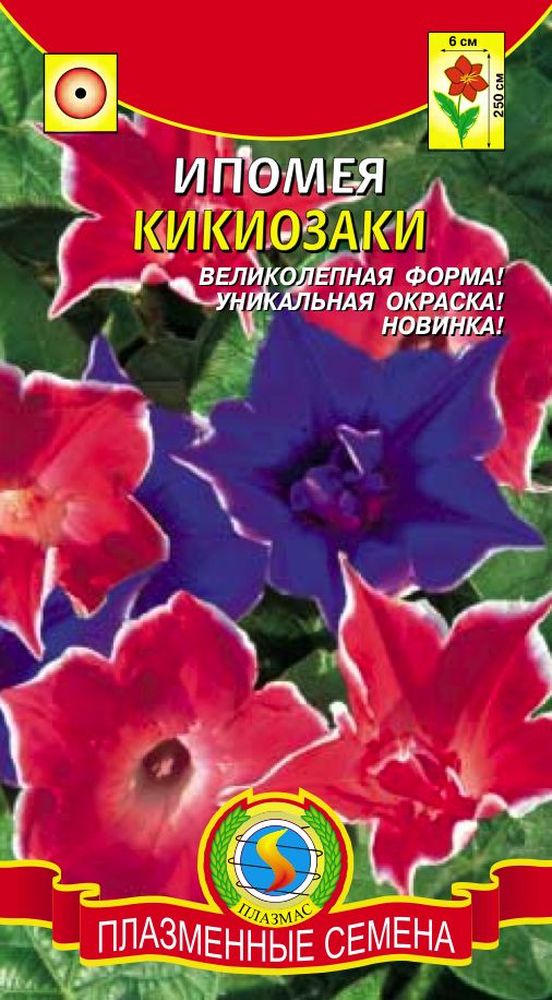 Купить ипомея батат пурпурная Ульяновск семена и саженцы низкая цена